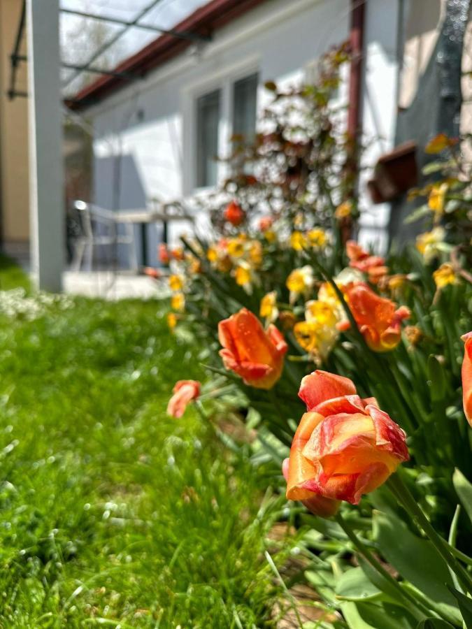 Apartmani Emily & Jully Niksic Luaran gambar